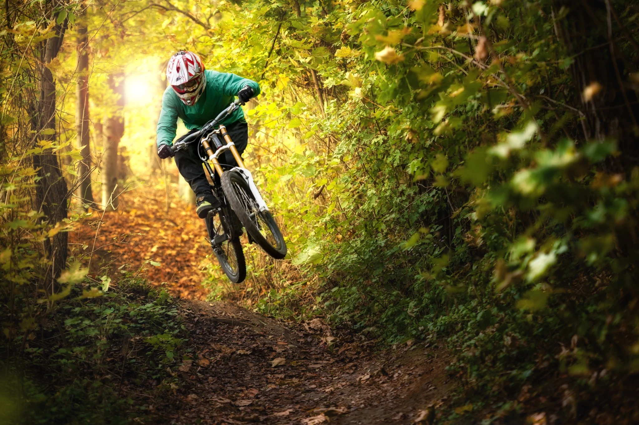 Mountain biking through a forest landscape.